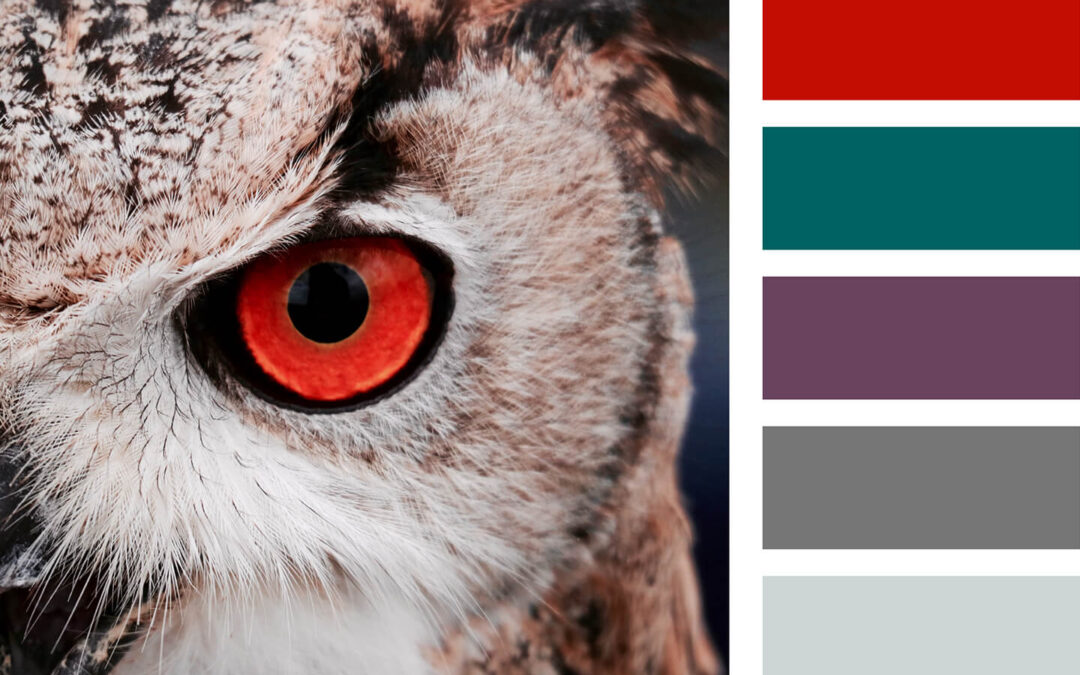 Farb­kom­bi­na­tio­nen Web­de­sign — Inspi­ra­ti­on aus der Natur